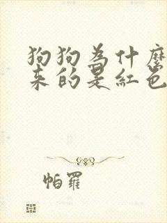 狗狗为什么尿出来的是红色的