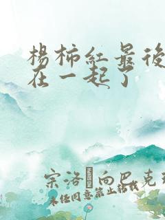杨柿红最后和谁在一起了