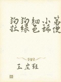 狗狗细小第六天拉绿色稀便