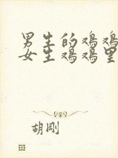 男生的鸡鸡插入女生鸡鸡里