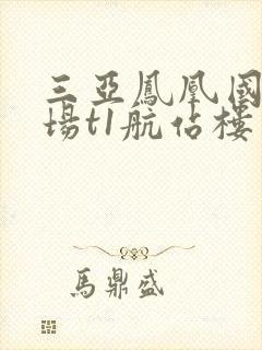 三亚凤凰国际机场t1航站楼