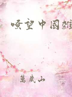 嘹望中国杂志社