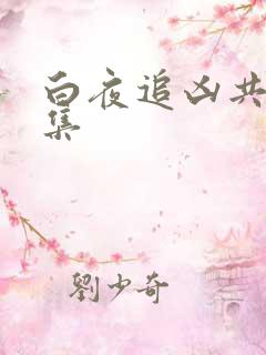 白夜追凶共多少集