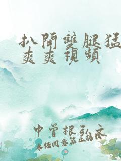 扒开双腿猛入看爽爽视频