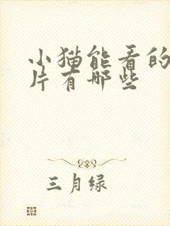 小猫能看的动画片有哪些