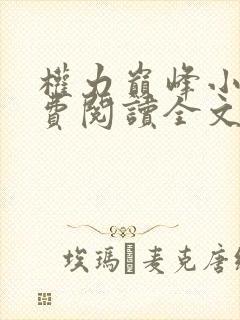 权力巅峰小说免费阅读全文
