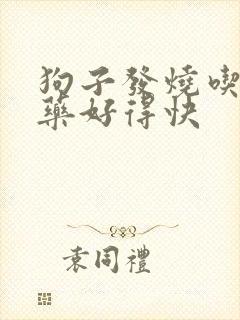 狗子发烧吃什么药好得快