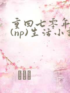 重回七零年代文(np)生活小说
