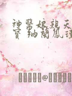 神医娘亲天才萌宝 纳兰凤瑾