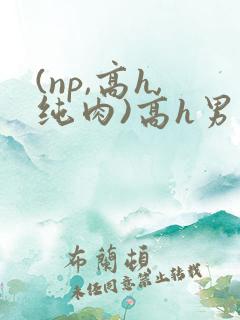 (np,高h,纯肉)高h男男