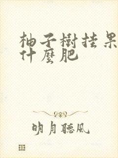 柚子树挂果后施什么肥