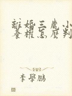 离婚三岁小孩抚养权怎么判定