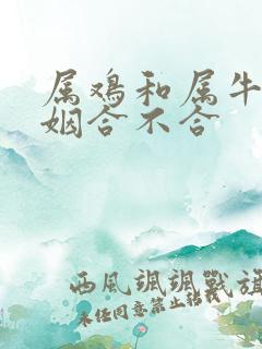 属鸡和属牛的婚姻合不合