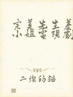 完美先生差不多小姐电视剧免费观看