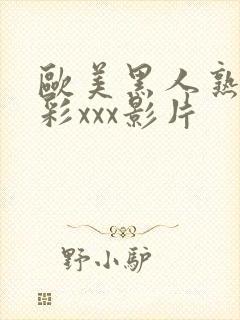 欧美黑人熟妇精彩xxx影片