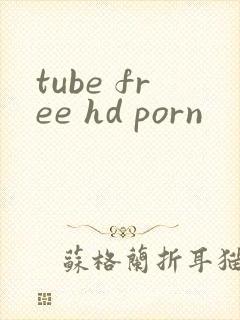 tube free hd porn