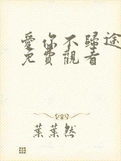 爱你不归途短剧免费观看