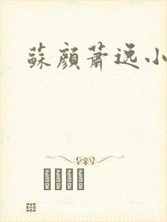 苏颜萧逸小说