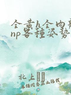 全黄h全肉辣文np各种姿势调教