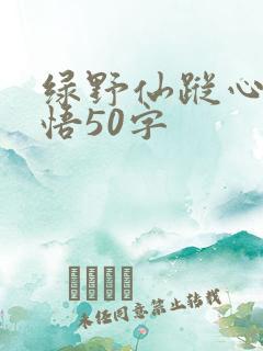 绿野仙踪心得感悟50字