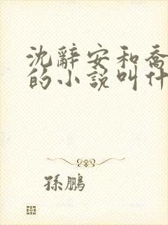 沈辞安和乔若兮的小说叫什么名字