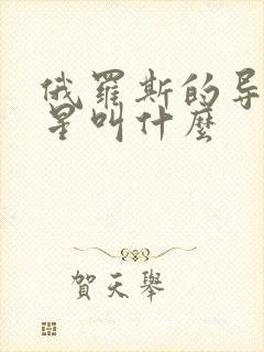 俄罗斯的导航卫星叫什么