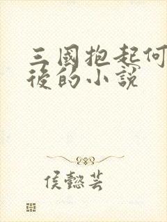 三国抱起何艳太后的小说