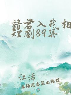 请君入我相思局短剧89集