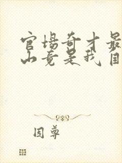 官场奇才最强靠山竟是我自己李霖叫什么名