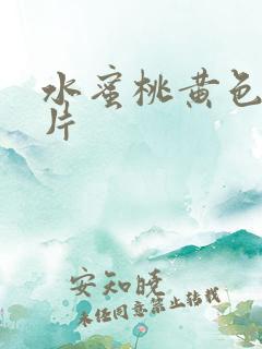 水蜜桃黄色二级片