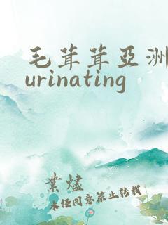 毛茸茸亚洲人浩urinating