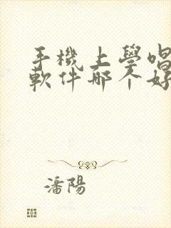 手机上学唱歌的软件哪个好