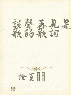 说声再见是哪首歌的歌词