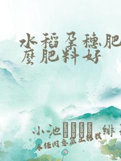 水稻孕穗肥用什么肥料好
