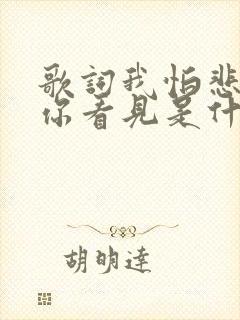 歌词我怕悲伤被你看见是什么歌