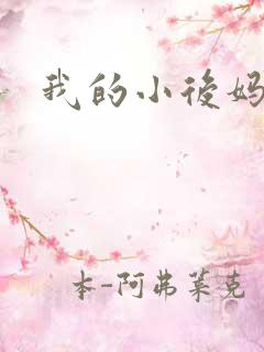 我的小后妈小说