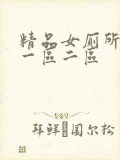 精品女厕所偷拍一区二区