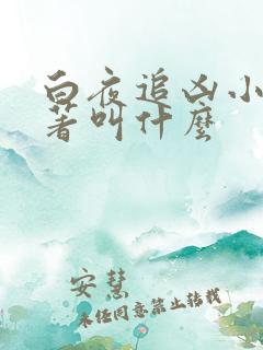 白夜追凶小说原著叫什么
