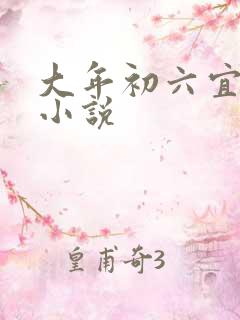大年初六宜嫁娶小说
