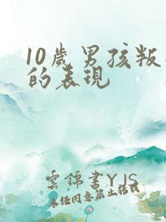 10岁男孩叛逆的表现
