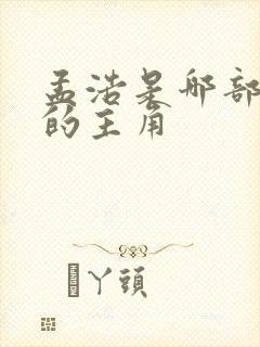 孟浩是哪部小说的主角