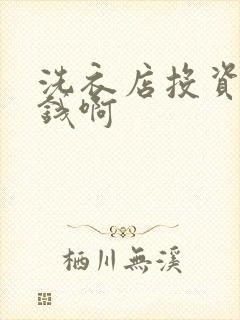 洗衣店投资多少钱啊