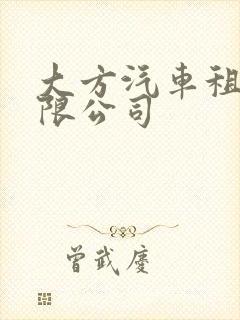 大方汽车租赁有限公司 大方汽车租赁有限公司