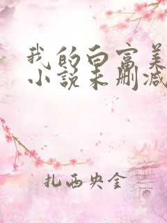 我的白富美老婆小说未删减版