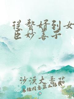 从赘婿到女帝宠臣妙善子