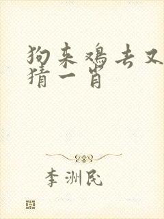 狗来鸡去又一年猜一肖