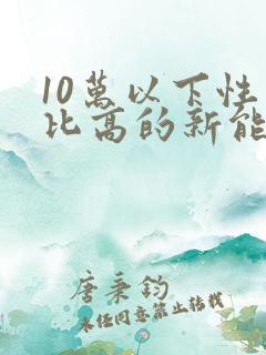 10万以下性价比高的新能源车