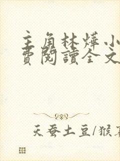 主角林烨小说免费阅读全文 主角林烨小说免费阅读全文