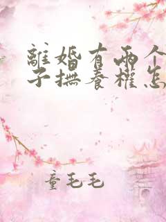 离婚有两个小孩子抚养权怎么判定 离婚有两个小孩子抚养权怎么判定