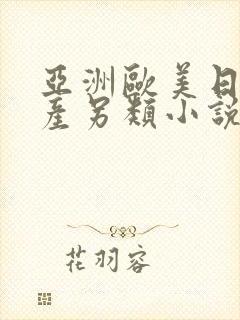 亚洲欧美日韩国产另类小说